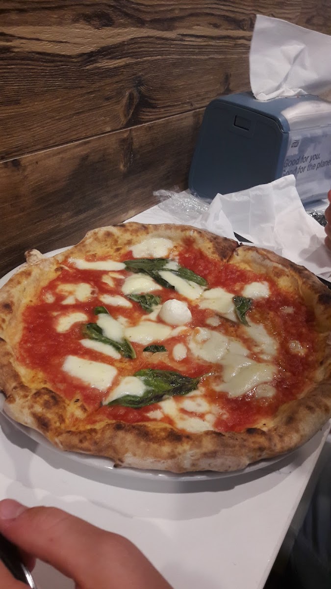 Rina's Pizzeria & Cafe-5